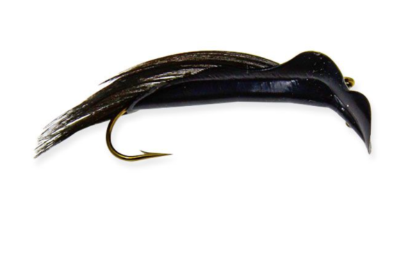 Black (Leech)