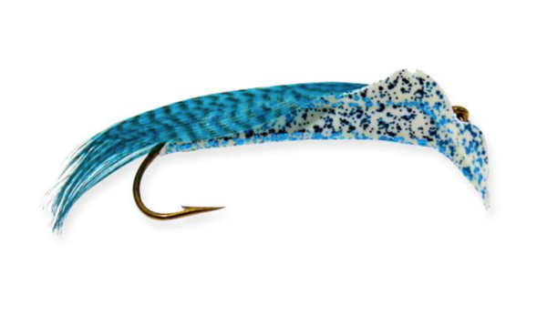 White w/ Blue (Anchovy)