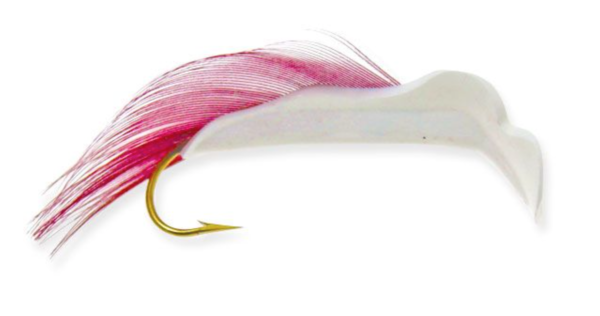 White w/ Claret Wing (Fine Wine)