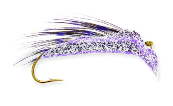 White w/ Purple (Shorty's Special)