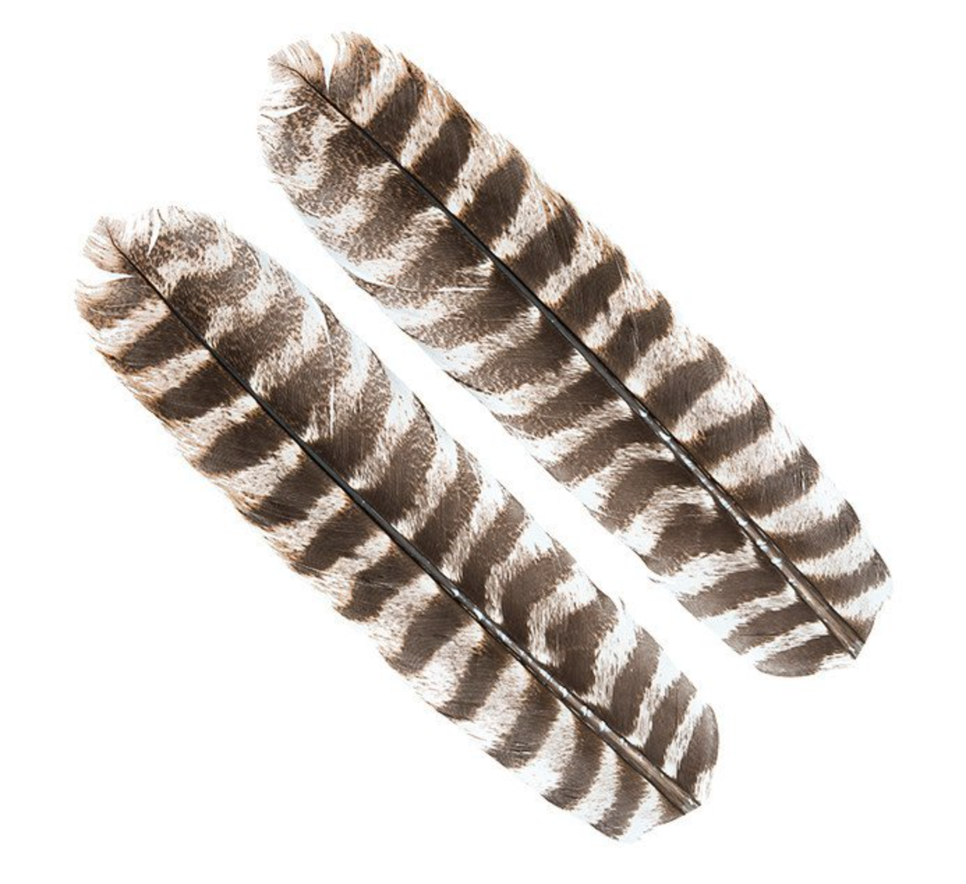 Wapsi Ozark Turkey Quill Muddler Hatch Match’r Fly & Tackle